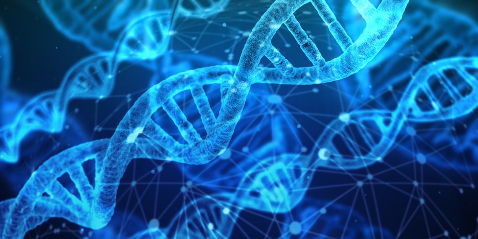 控制所有癌转移的基因？Science揭秘：癌症在个体中的传播源于相同的突变