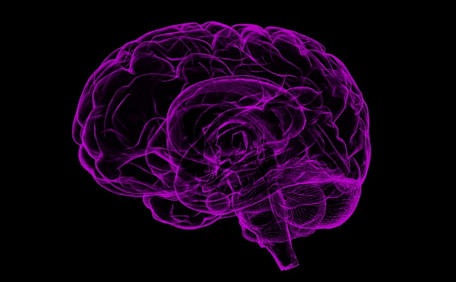 脑瘤福音！Nature：“改造”T细胞，使其进入大脑、攻击“逃逸”的癌细胞