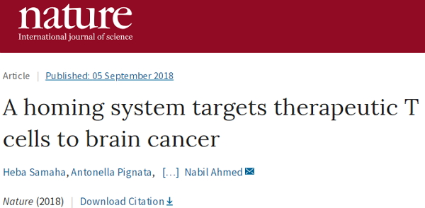脑瘤福音！Nature：“改造”T细胞，使其进入大脑、攻击“逃逸”的癌细胞