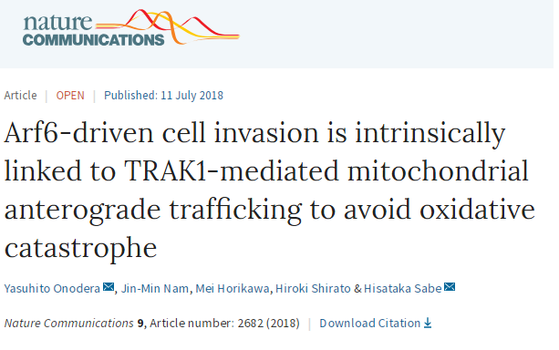 Nature子刊：阻断线粒体这一分子途径，可以降低乳腺癌侵袭性