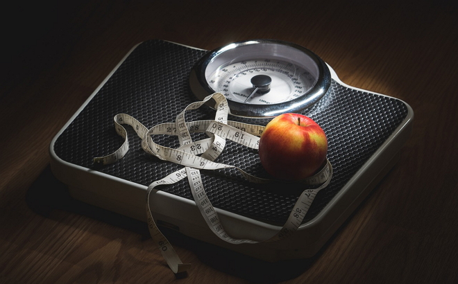 肥胖会变笨呢？！科学家们找到“罪魁祸首”