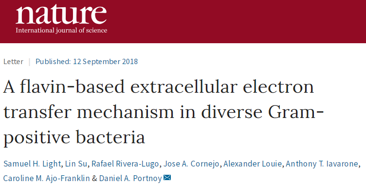 新奇!Nature揭示肠道菌能够“发电”的秘密技能