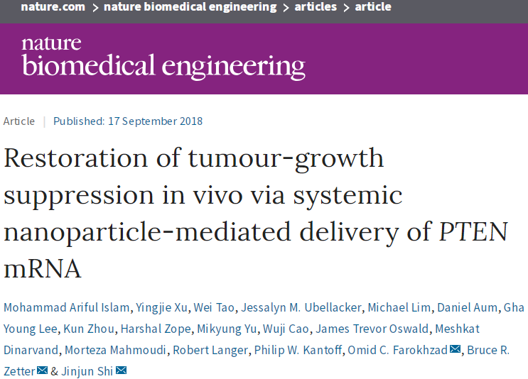 首个!纳米技术介入抑癌基因在前列腺癌中取得突破进展 | Nature子刊