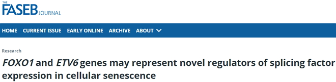 新成果!靶向关键基因,或可逆转细胞衰老