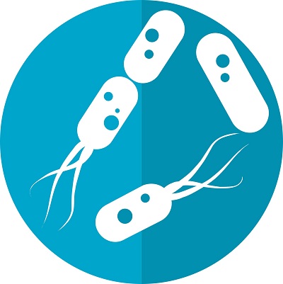 首次证实！粪便移植成功“治愈”免疫疗法副作用 | Nature Medicine