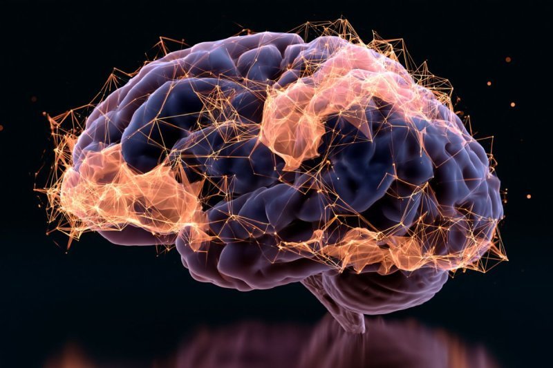 <b>AI 12分钟破解脑肿瘤分子分型</b>