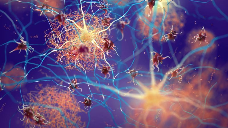 <b>微管蛋白：神经毒性蛋白聚集的“健康引导者”</b>