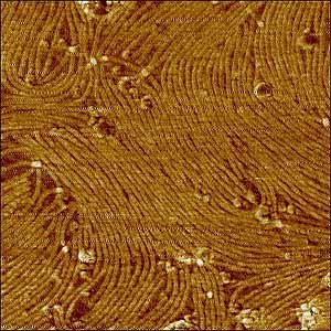 科学家研制病毒电池 能量为普通电池的3倍