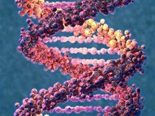 基因进化为适应新环境：进化论可靠性被证实