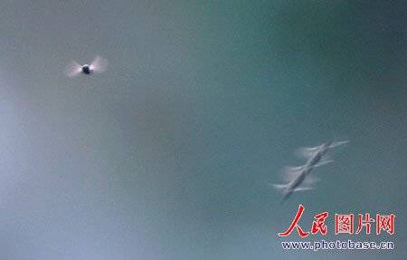 照片可能证明神秘飞棍为昆虫飞行轨迹