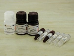 美国Sigma-220892,1,4-丁二醇二缩水甘油醚,CAS 2425-79-8